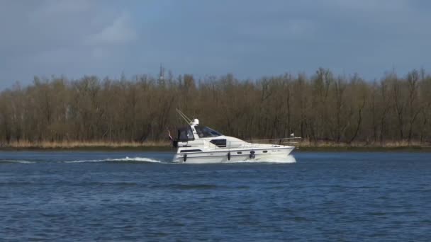 Yate Motor Lujo Navega Río Vista Desde Lado Cámara Lenta — Vídeo de stock