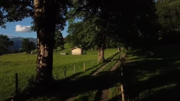 Volando Través Los Árboles Prado Prados Verdes Valle Los Alpes — Vídeos de Stock