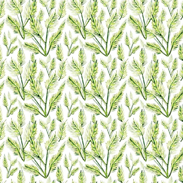 Muster Grüne Zweige Von Farnblättern — Stockfoto