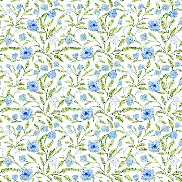 Blaue Blüten Mit Knospen Und Grünem Laub Auf Weißem Hintergrund — Stockfoto