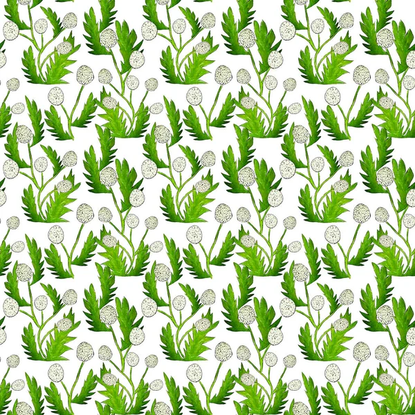 Кульбабаба Зелене Листя — стокове фото