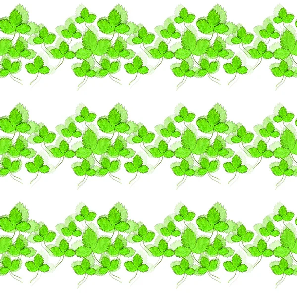 Patrón Con Hojas Fresa Verde —  Fotos de Stock