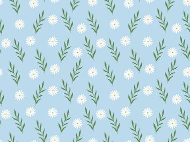 Çiçekli kusursuz bahar desenli çiçek papatya çayı, mavi arka planda izole edilmiş yapraklar. Poster, ambalaj kağıdı, kumaş, ağ, parti, davetiye, duvar kağıdı, düğün.