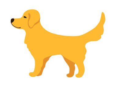 Kılavuz köpek Golden Retriever beyaz arka planda izole bir nesne. Web için karikatür biçiminde vektör simgesi. Poster, afiş, broşür, web, iş, şirket, imza için düz tasarım.