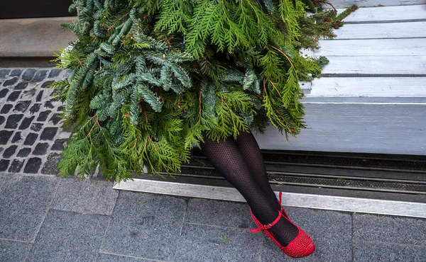 Elegante Árbol Navidad Con Patas Mujer Medias Negras Zapatos Rojos —  Fotos de Stock