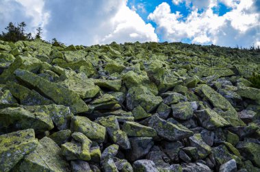 Ukrayna 'nın Karpat Dağları' nın Gorgany bölgesindeki bulutlarla kaplı tepeye karşı Lichen 'in yetiştirdiği büyük taşlar.