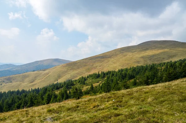 Incredibile Foresta Ripido Pendio Montagna Svydovets Ridge Montagne Carpatiche Ucraina — Foto Stock