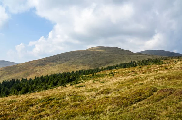 Incredibile Foresta Ripido Pendio Montagna Svydovets Ridge Montagne Carpatiche Ucraina — Foto Stock