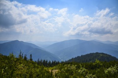 Ukrayna 'nın güzel Karpat dağları, ormanlar ve bulutlu gökyüzü manzarası.