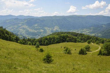 Karpatlar 'ın yüksek dağlarında güzel bir gökyüzü ve orman. Bir yaz günü köy manzarası, Ukrayna.