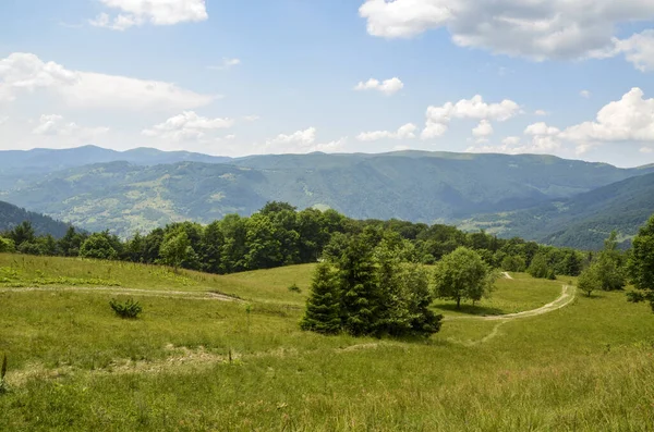 Schöner Himmel Und Wald Hoch Den Karpaten Mit Blick Auf — Stockfoto