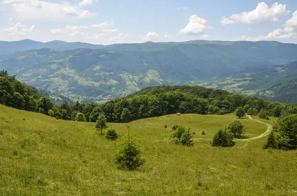 Karpatlar 'ın yüksek dağlarında güzel bir gökyüzü ve orman. Bir yaz günü köy manzarası, Ukrayna.