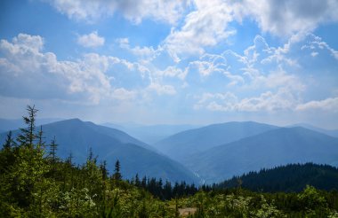 Yazın mavi dağlarının güzel manzarası. Karpatlar. Ukrayna