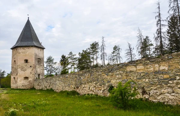 Kontski kalesinin kulesi. Kryvche, Ternopil bölgesi, Ukrayna