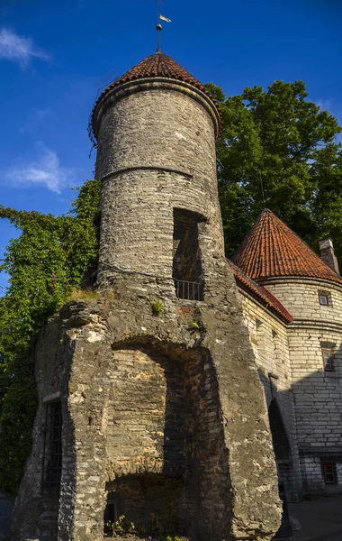 Viru Gate Torony Óvárosban Egy Nyári Napon Tallinn Észtország — Stock Fotó