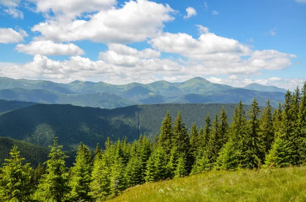 Montagne Chornohora Catena Montuosa Più Alta Ucraina Occidentale Nel Beskids — Foto Stock