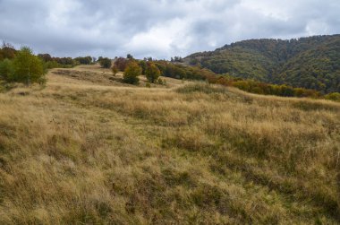 Dağların ve odunların manzarası. Güzel Karpat dağlarına bakan dağ yamacı sonbahar manzarası, Transcarpathia, Ukrayna