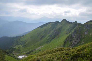Görkemli dağ sıraları ve yeşil yemyeşil otlarla kaplı engebeli tepeler, Marmarosy sırtı, Karpatya, Ukrayna 