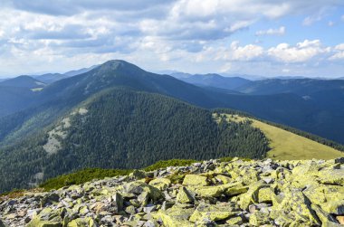 Homyak Dağı 'ndan Sinyak Dağı' na Gorgany enkaz alanları, Karpatlar, Ukrayna