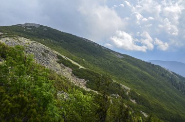 Karpatlar, Ukrayna 'daki geleneksel Gorgany dağ manzarası.