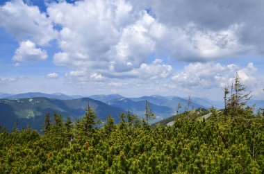 Karpatlar, Ukrayna 'daki geleneksel Gorgany dağ manzarası.