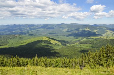 Yaz dağı manzaralı Karpatlar, Yaz dağı manzaralı Karpatlar, Krivopillja, Verkhovyna ilçesi, Ivano-Frankivsk bölgesi, Ukrayna. İvano-Frankivsk bölgesi, Ukrayna.