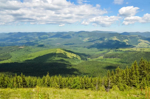 Verano Vista Montaña Cárpatos Verano Vista Montaña Cárpatos Kryvopillja Verkhovyna — Foto de Stock