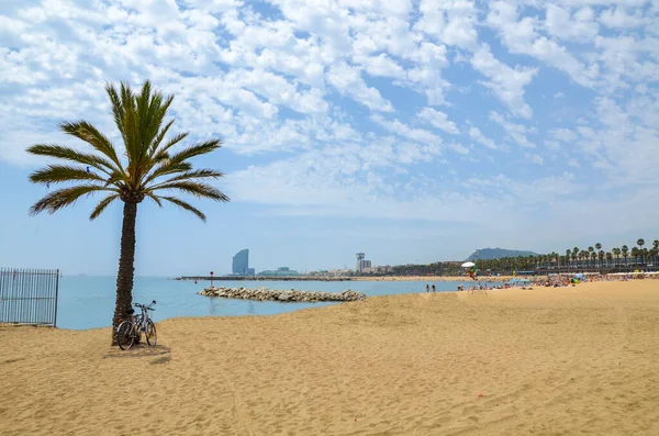 Vista Playa Barceloneta Con Palmera Barcelona España Una Las Playas —  Fotos de Stock