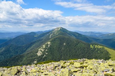 Bulutlu bir günde dağ Homyak 'tan Sinyak Dağı' nın zirvesine bakın. Yoğun orman ve güzel yeşil alan. Doğu Karpatlar 'daki Batı Ukrayna' daki Gorgany dağı..