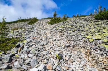 Karpat dağ manzarası manzarası. Mavi gökyüzünün arka planında bulutlu yosun yetişmiş kayalık bir yamaç..