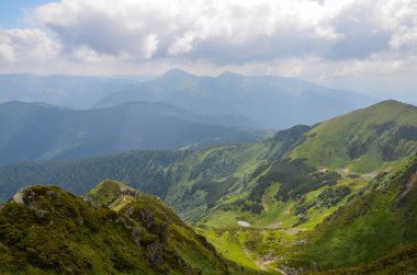 Ormanlı dağ yamacında alçak yerde bulut var. Her zaman yeşil olan kozalaklı ağaçlar manzarası manzaralı bir sisle kaplanmış. Sabahın erken saatlerinde dağlarda, Chornohora sırtı, Karpatlar, Ukrayna 