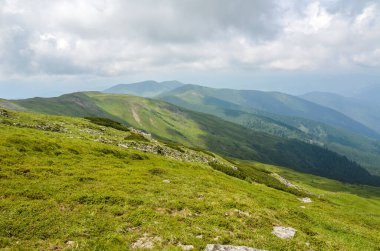 Ufukta tepeler, patikalar ve tepeler olan yaz manzarası sabah Marmarosy sırtı, Karpatya Dağları. Ukrayna.