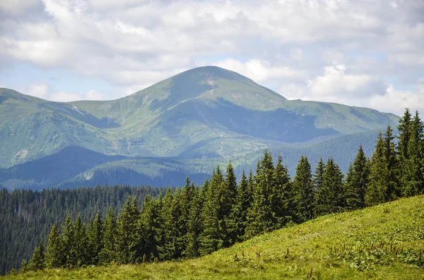 Paesaggio Estivo Nelle Montagne Dei Carpazi Vista Della Vetta Montuosa — Foto Stock