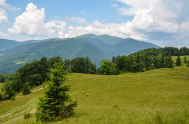 Yeşil tepe, bulutlu gökyüzünün altındaki dağ yamacında renkli çimenler. Yazın sonlarında güzel bir manzara, Karpat Dağları, Ukrayna