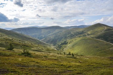 Yazın sonlarında Karpat Dağları. Mavi gökyüzünün altında yeşil çimenler ve genç yaban mersinleri ve Ukrayna 'nın Svydovets sırtına bakan beyaz bulutlar,.