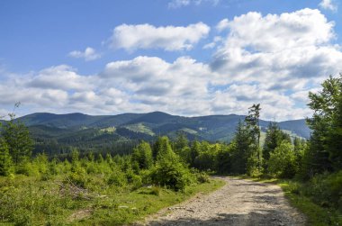 Ukrayna 'daki Karpat Dağları' nın yeşil tepeleri. Bitmeyen yeşil kozalaklı ormanlarda çayırlıklar. gür, yeşil çayırlar dağları kayalar ve ağaçlarla renklendiriyor.