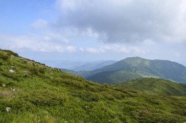 Yüksek dağların manzarasının güzel manzarası, çalılarla ve patikalarla kaplı yeşil vadiden açılıyor, Marmarosy sırtı, Ukrayna, turizm için popüler bir yer. 