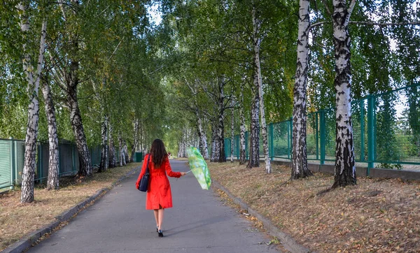 코트를 공원에서 우산을 아름다운 갈색의 소녀가 바라본다 — 스톡 사진