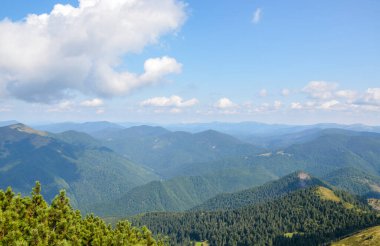 Dağların ve çayırların üstündeki hava manzarası. Bir yaz gününde güzel bir manzara. Ukraynalı Karpatyalı. Dağlarda tatiller.
