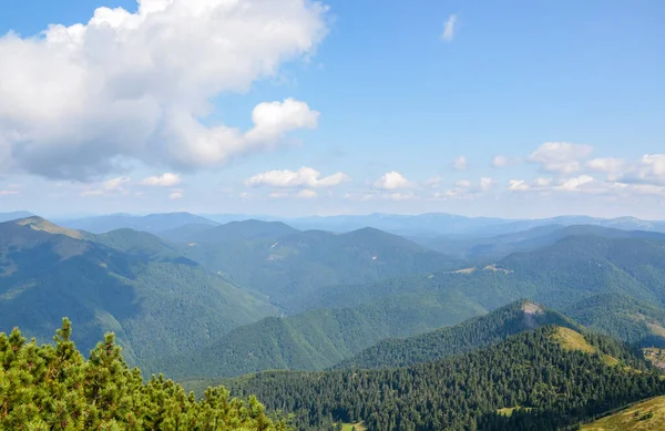 Dağların ve çayırların üstündeki hava manzarası. Bir yaz gününde güzel bir manzara. Ukraynalı Karpatyalı. Dağlarda tatiller.