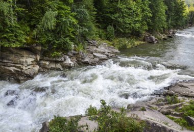 Ormanın arka planında Prut nehri üzerinde hızlı bir şelale akışı. Ukrayna 'nın batısındaki Karpatlar' ın en ünlü tatil beldesi.