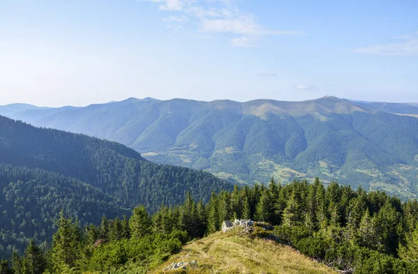 Skog Gräsbevuxen Karpatisk Krasna Underbart Soligt Landskap Vid Horisonten Den — Stockfoto