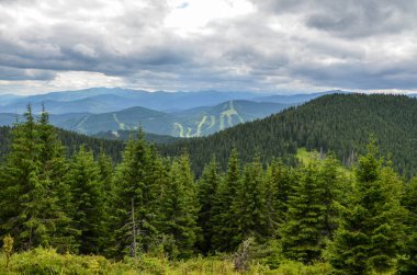 Yazın ünlü Bukovel kayak merkezinin izleri, Karpat Dağları, Ukrayna. Yeşil ormanlar, tepeler, çimenli çayırlar ve bulutlu gökyüzü