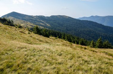 Ukrayna 'nın Kolochava köyünün etrafındaki mavi gökyüzünün altındaki güzel Karpat dağlarının manzarası. Yaz doğa manzarası