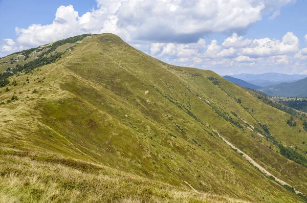 View Carpathian Mountains Top Mount Strymba Summer Landscape Panorama Green — Stock Photo, Image