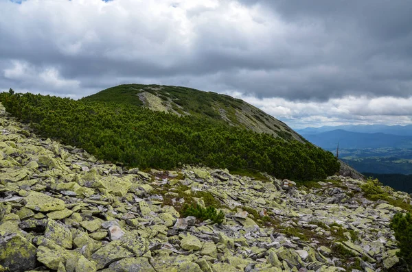 Karpaterna Bergskullar Täckta Klippor Och Gräsbevuxen Sluttning Med Skog Och — Stockfoto