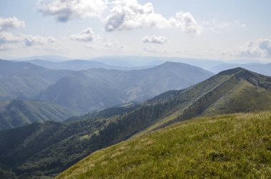 Karpat Dağları 'nın tepesinden manzara, Ukrayna' da yaz günü bulutlu mavi gökyüzünün altında çimenli bir çayırlık