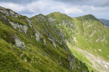 Alp çayırlarının arasında küçük alp çayırlarıyla kaplı gri kayalıklarla kayalık bir tepe. Marmarosy, Karpat Dağları Ukrayna.