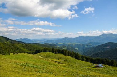 Yeşil çayır üzerindeki ahşap çobanların evi. Dağlardaki geleneksel kırsal alan. Karpatlar, Ukrayna.