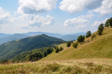 Güzel yeşil çimenli vadi manzarası, ağaçlar ve dağlar açık bir yaz günü mavi gökyüzü altında. Doğanın güzelliği, turizm, seyahat ve çevre koruma kavramı. Karpatlar